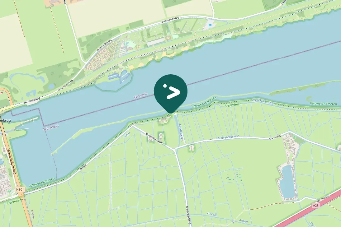 Spotted Eurasian Moorhen