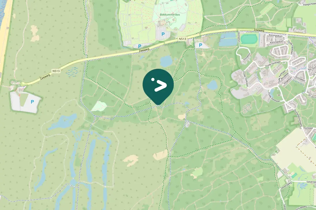 Spotted Short-toed Treecreeper