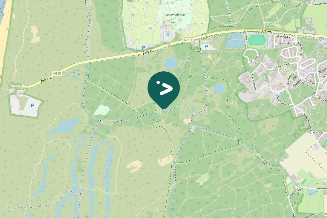 Spotted Eurasian Wren