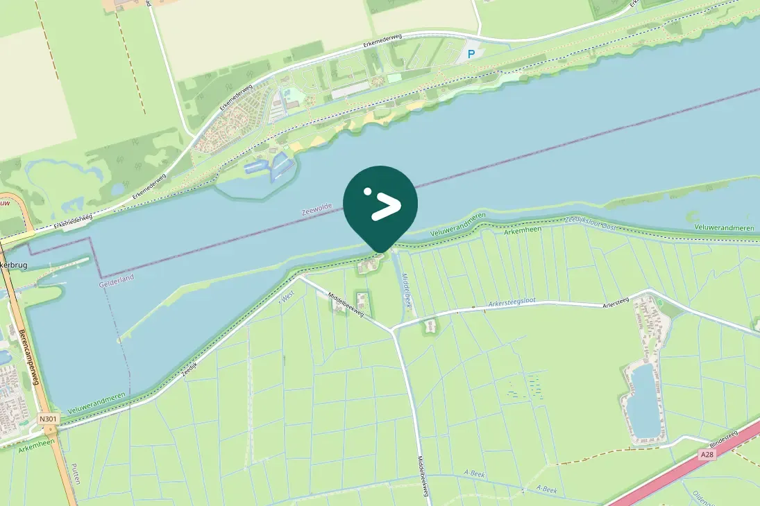 Spotted Common Wood-Pigeon