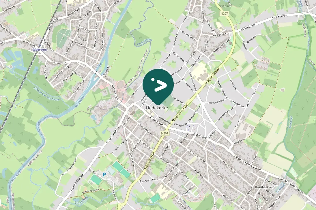 Spotted Common Buzzard