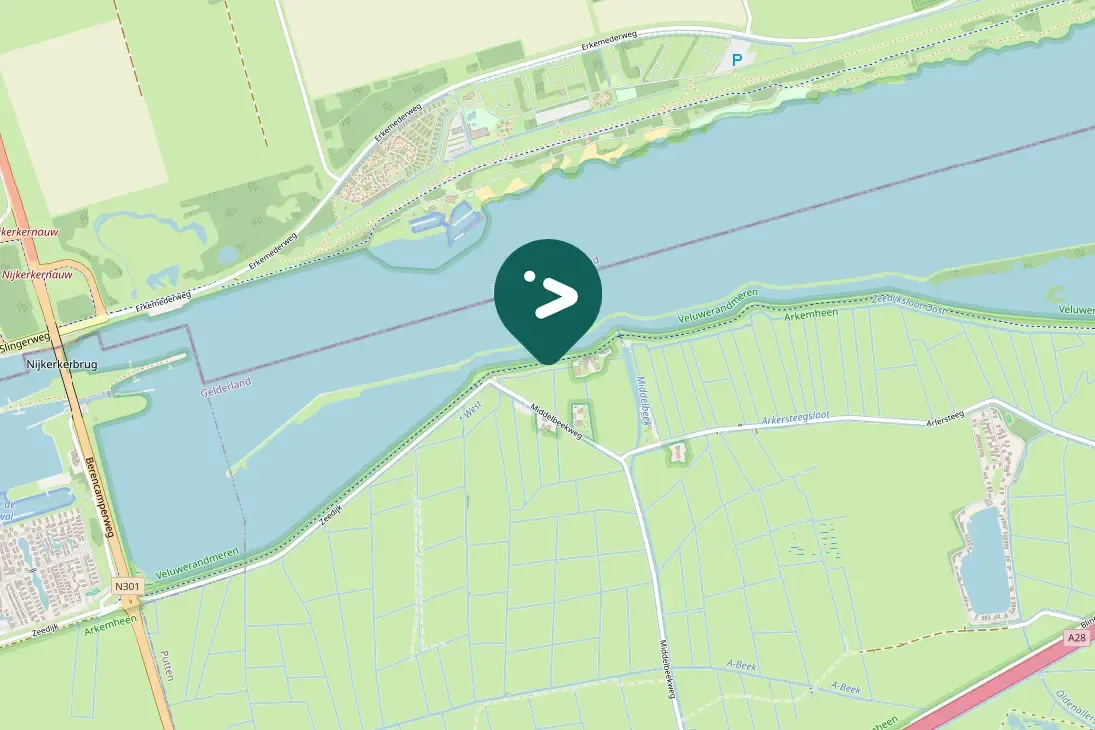 Spotted Great Cormorant