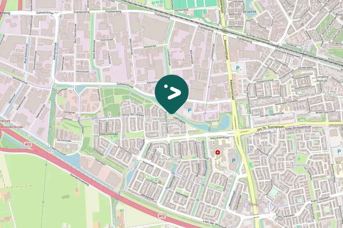 Spotted Little Grebe