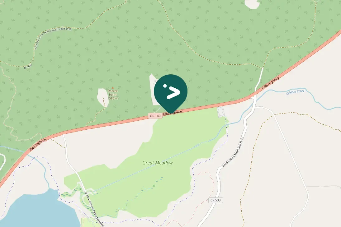 Spotted Black-billed Magpie