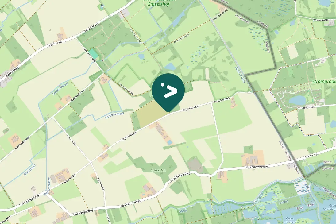 Spotted Eurasian Blue Tit