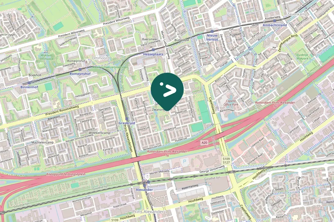 Spotted Rose-ringed Parakeet