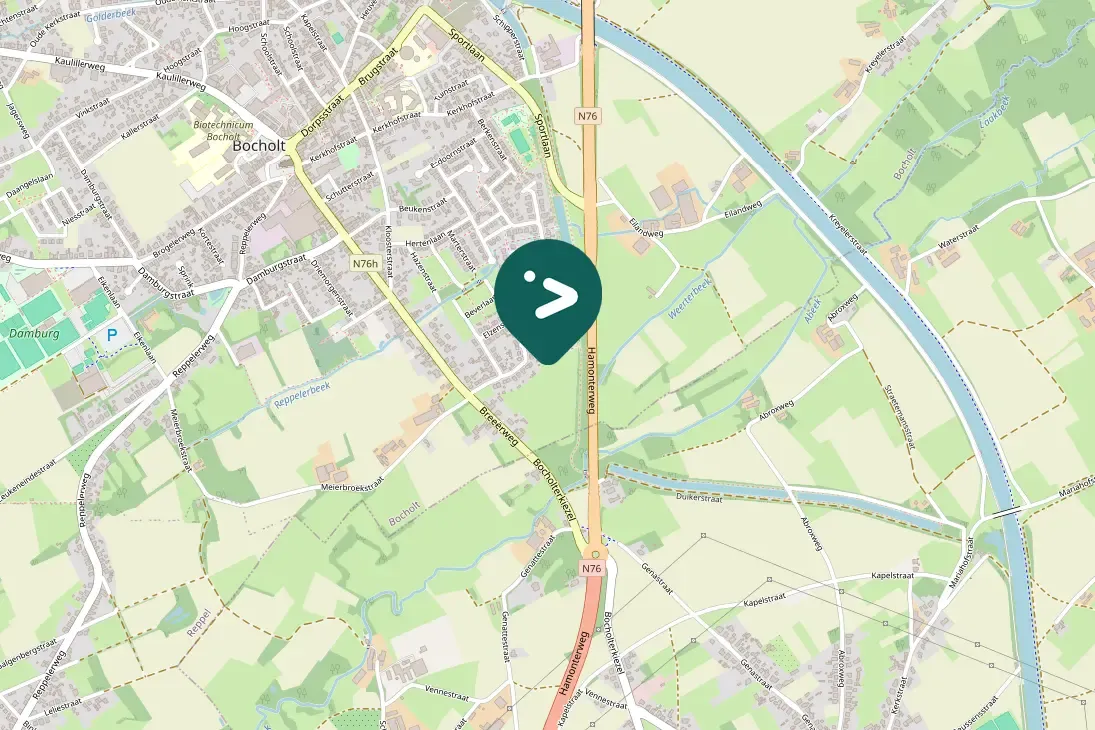 Spotted Great Cormorant