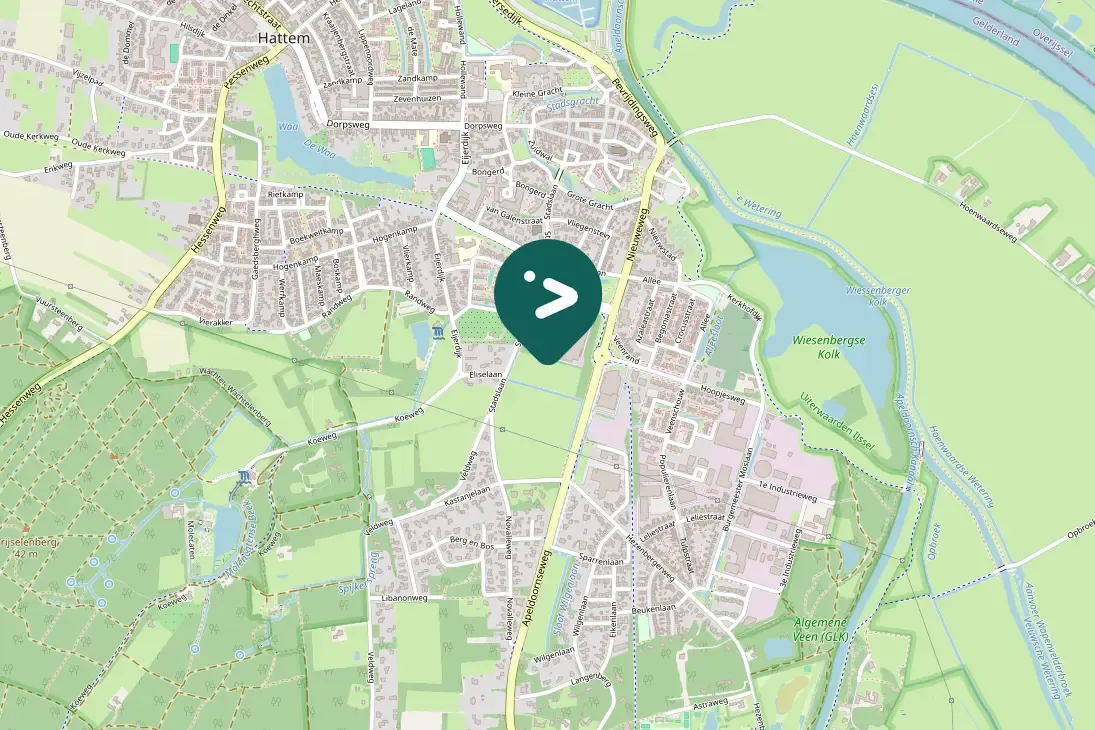 Spotted Great Spotted Woodpecker