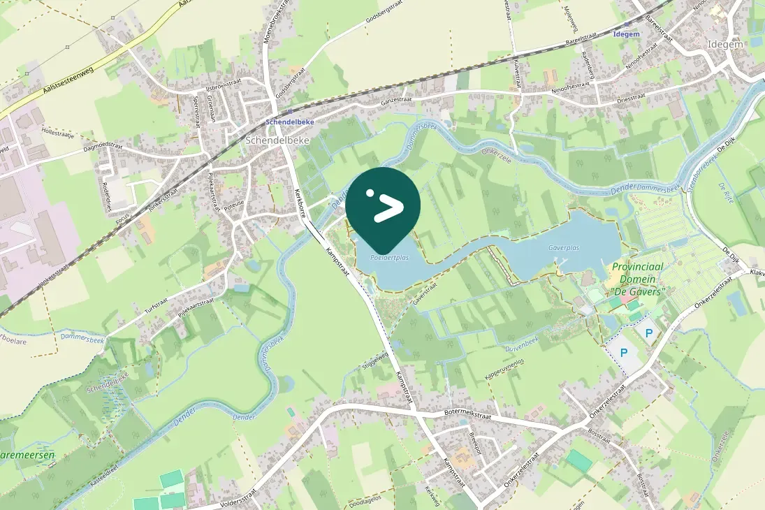 Spotted Eurasian Blackbird