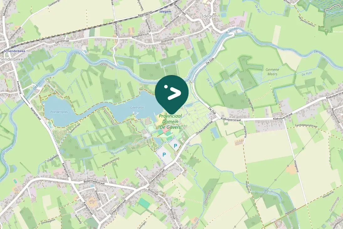 Spotted Ring-necked Pheasant