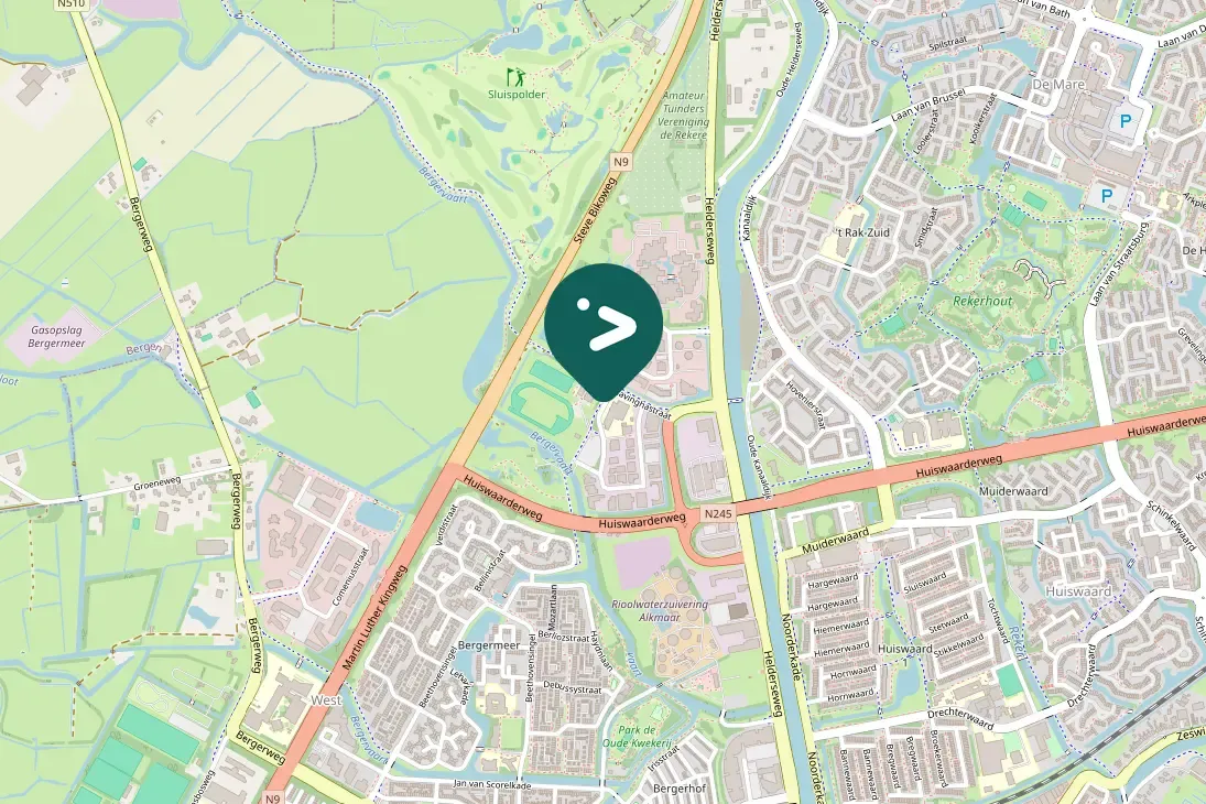 Spotted Bohemian Waxwing