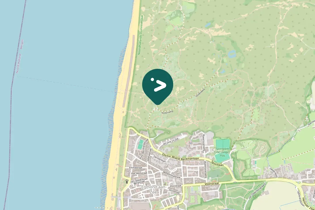 Spotted Green-winged Teal