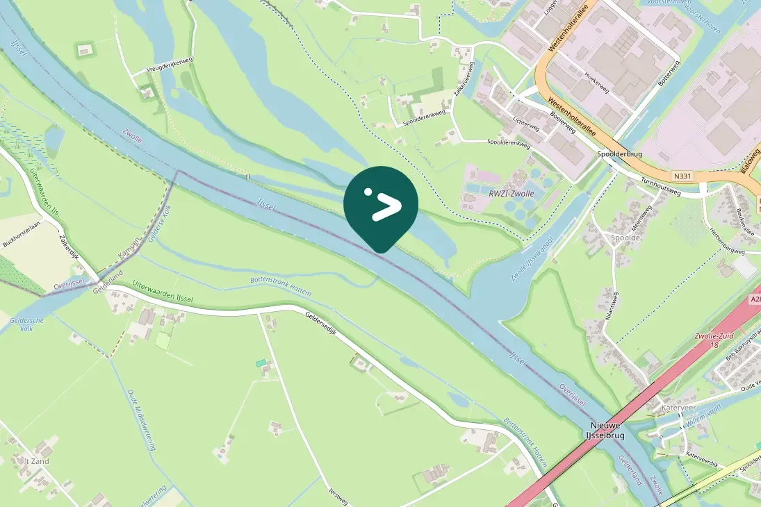 Spotted Black-winged Stilt