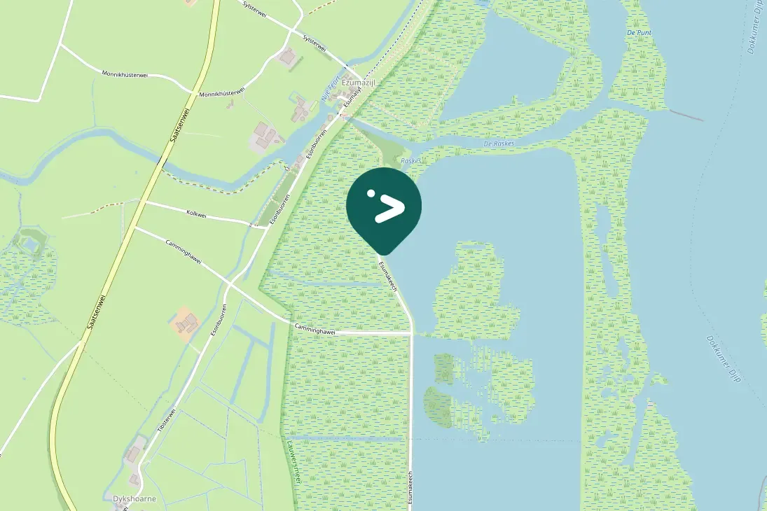 Spotted Eurasian Moorhen