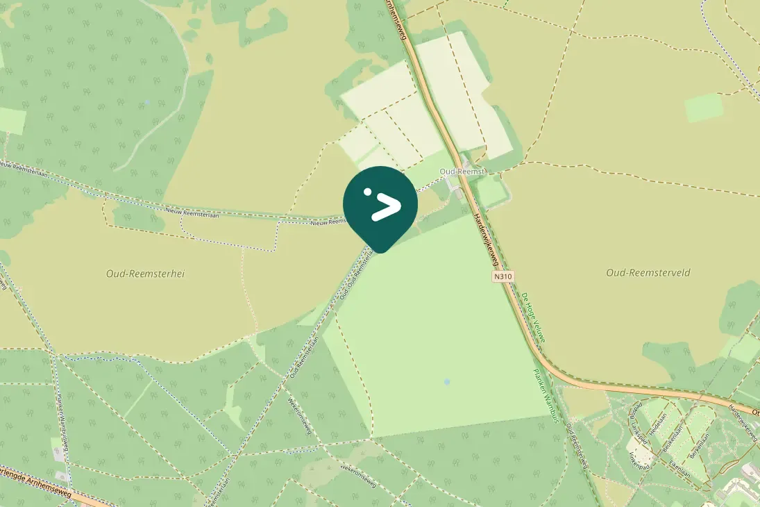 Spotted Great Spotted Woodpecker