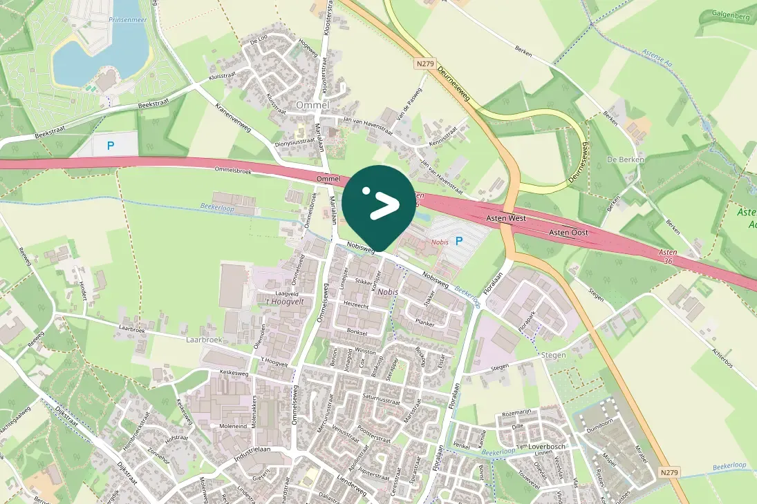 Spotted Eurasian Moorhen