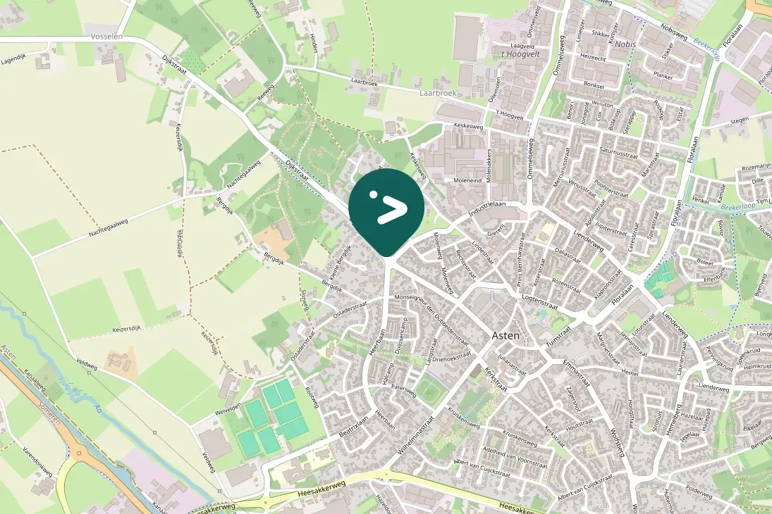 Spotted Eurasian Sparrowhawk