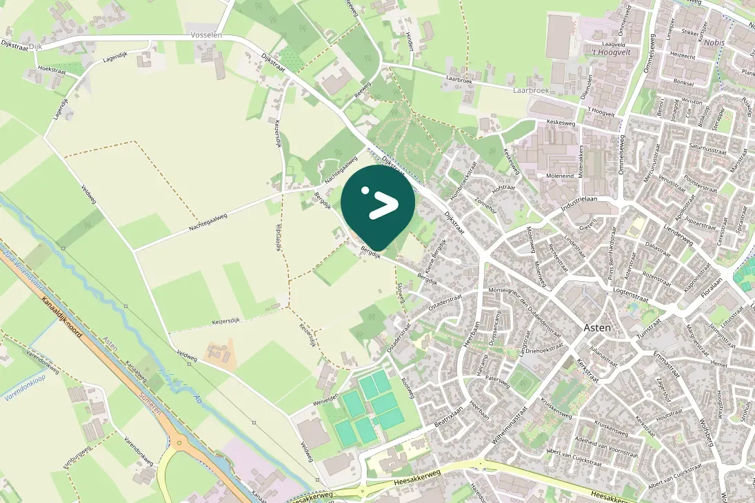 Spotted Great Spotted Woodpecker