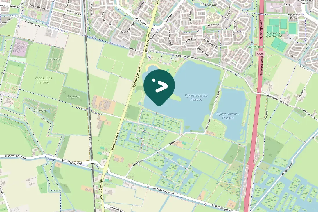 Spotted Graylag Goose