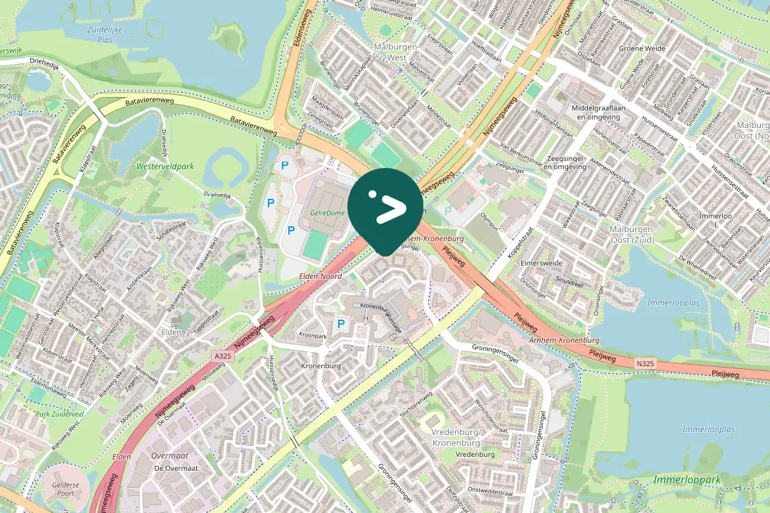 Spotted Egyptian Goose