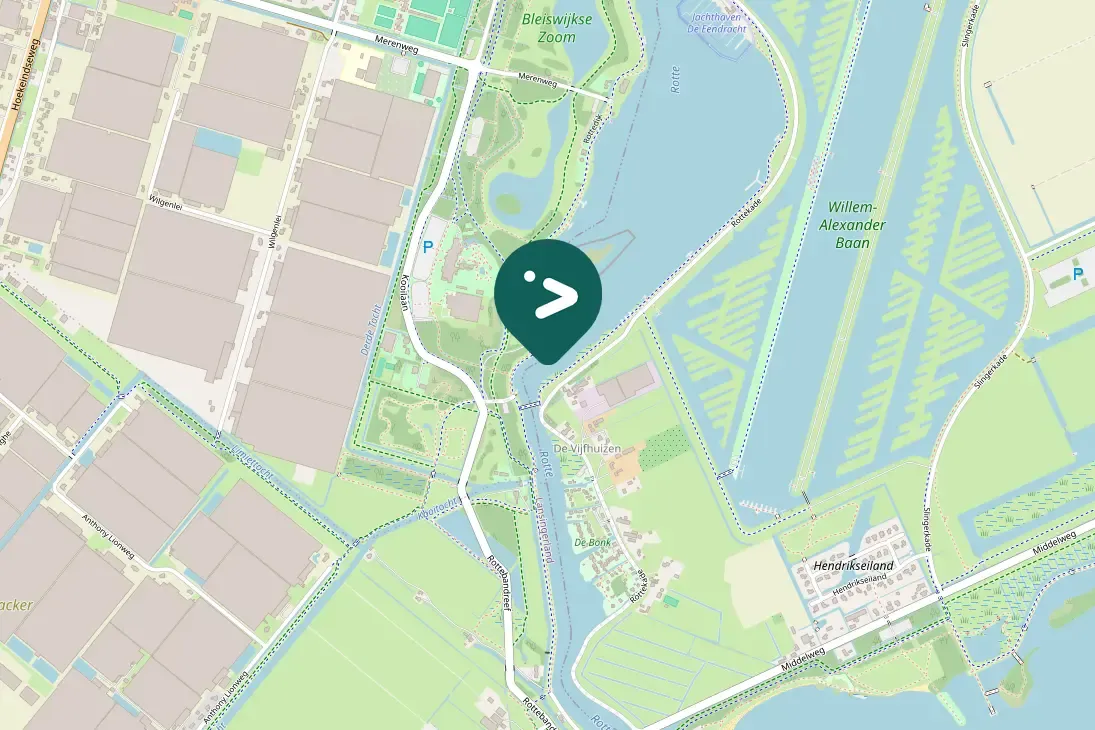 Spotted Eurasian Curlew