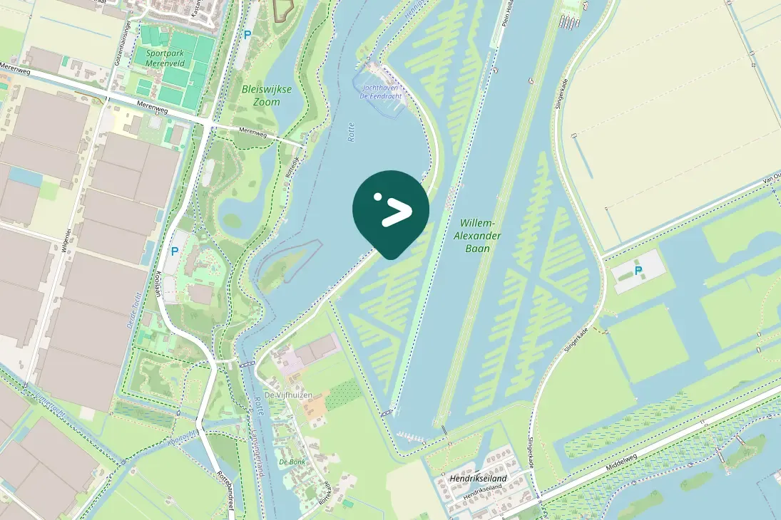 Spotted Green-winged Teal