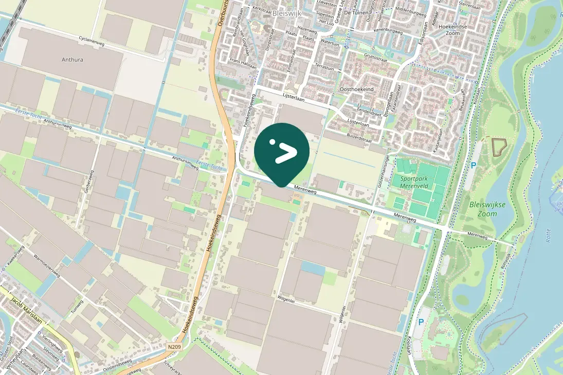 Spotted Common Buzzard