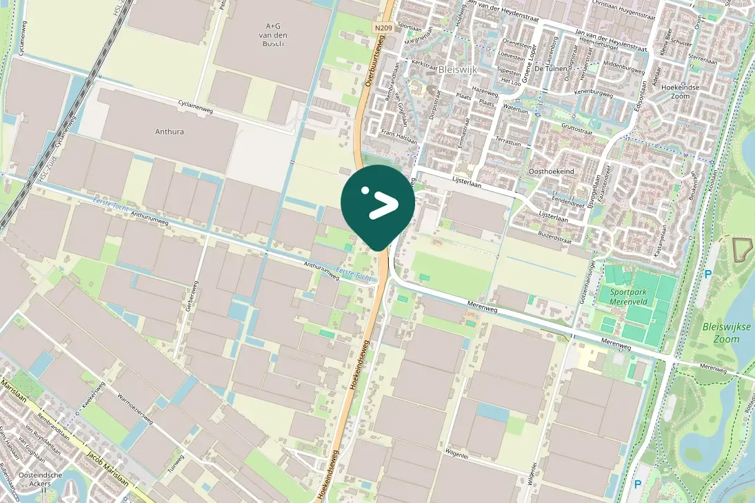 Spotted European Starling