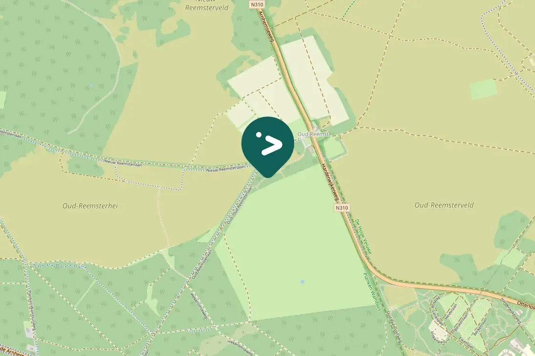 Spotted Great Spotted Woodpecker