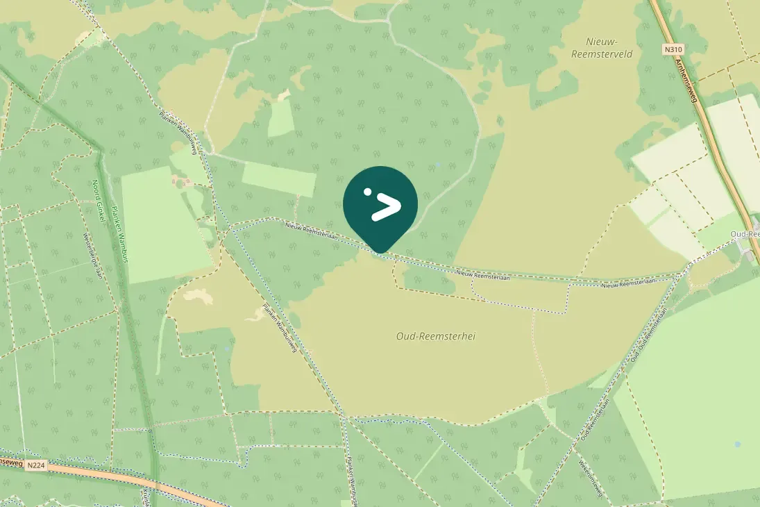 Spotted Common Raven