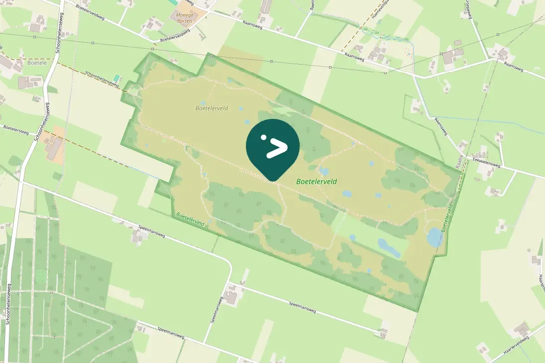 Spotted European Stonechat