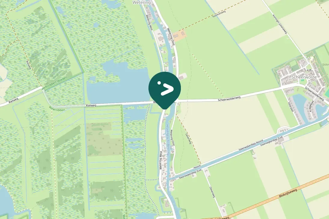 Spotted Common Buzzard