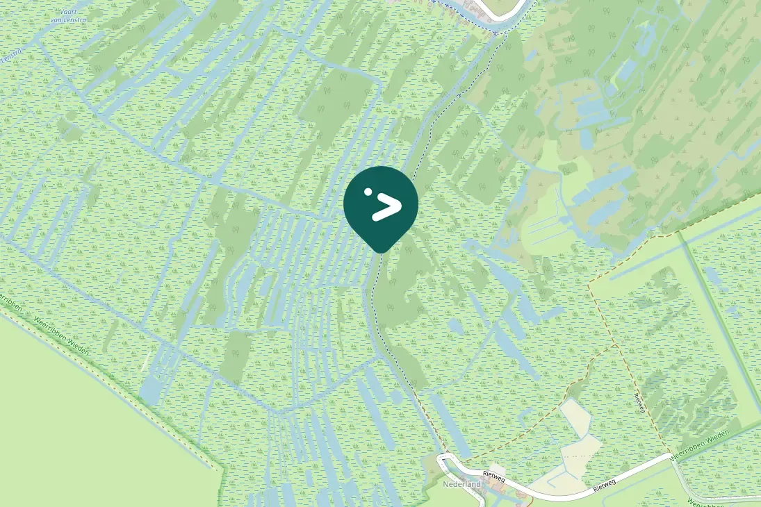 Spotted White-tailed Eagle