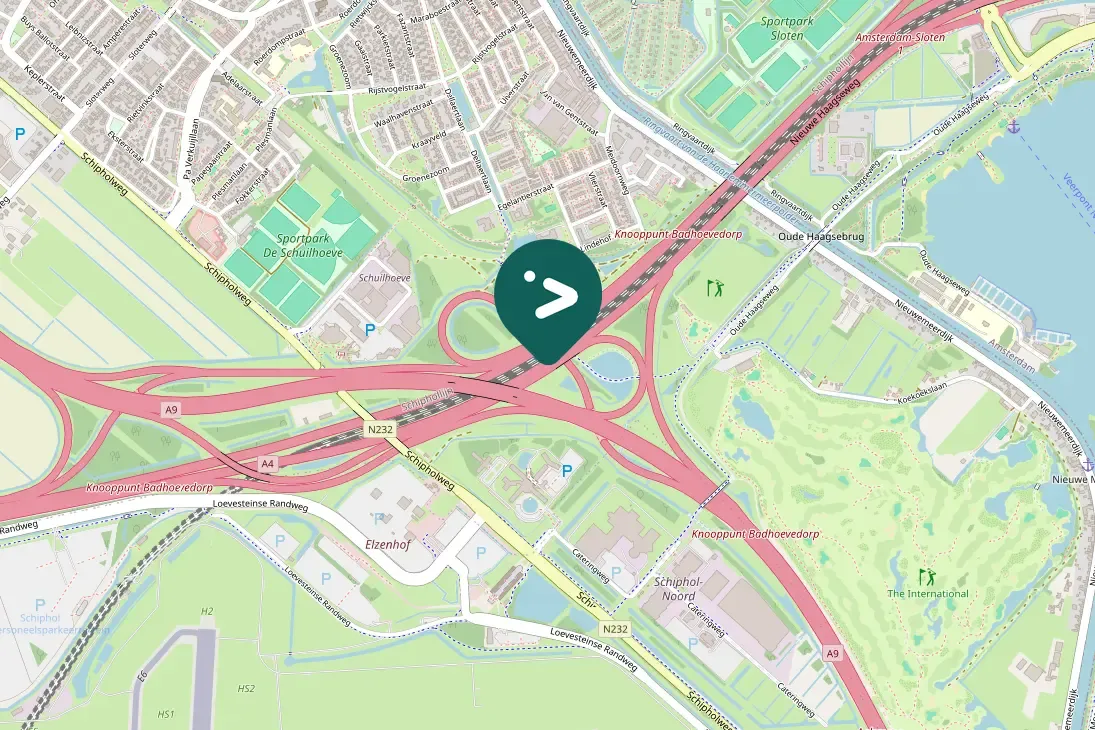 Gespotte Grote Canadese gans