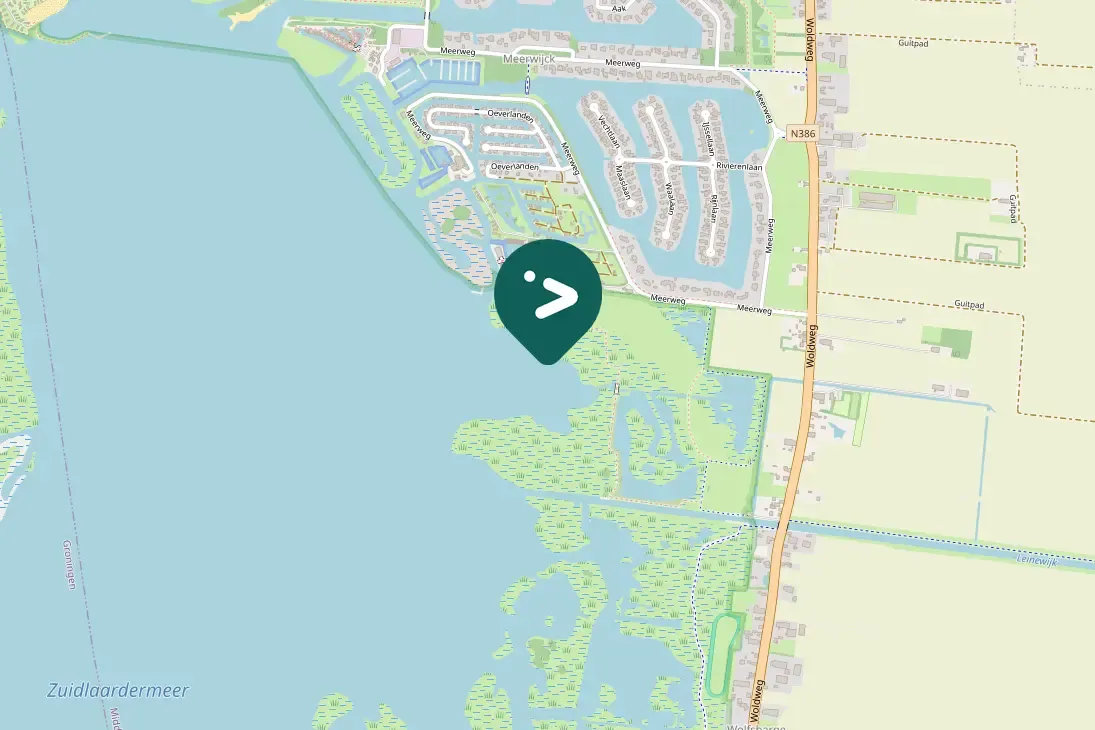 Spotted Carrion Crow