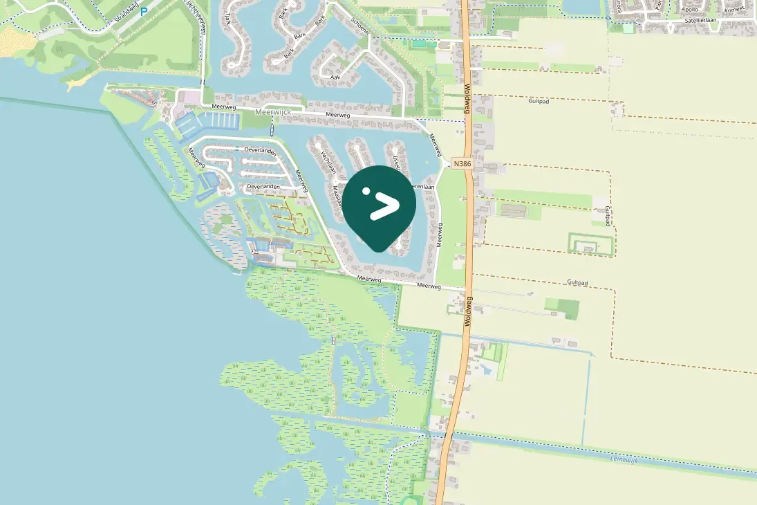 Spotted Black-headed Gull