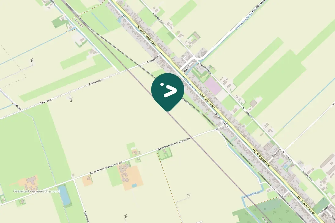 Spotted Graylag Goose