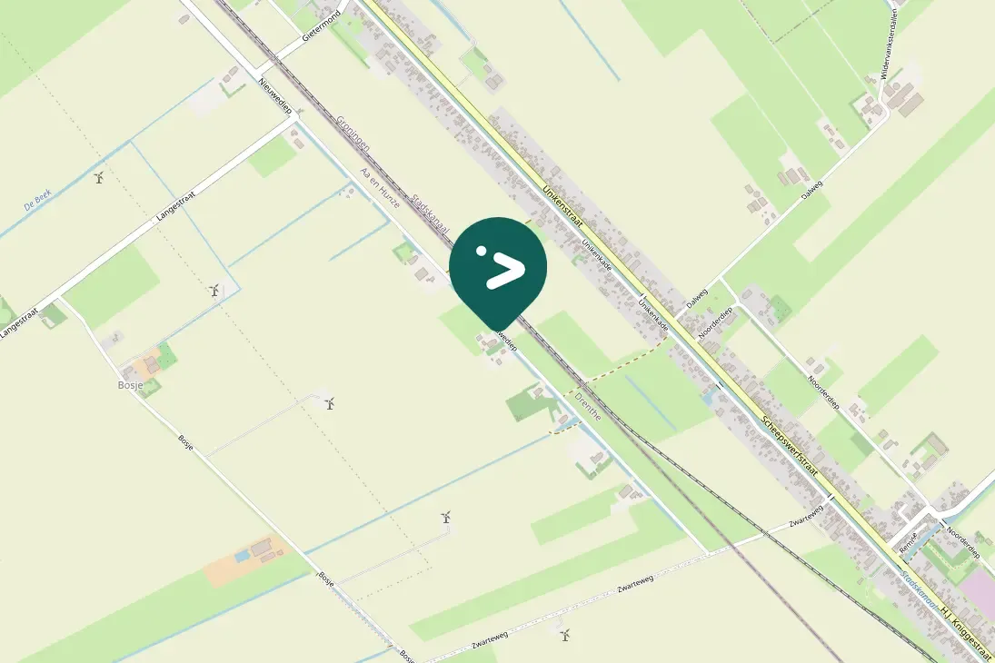 Spotted Egyptian Goose