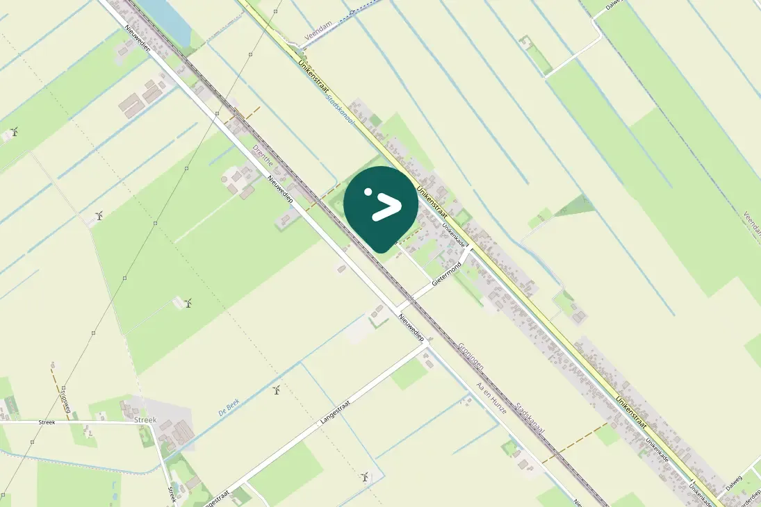 Spotted Greater White-fronted Goose