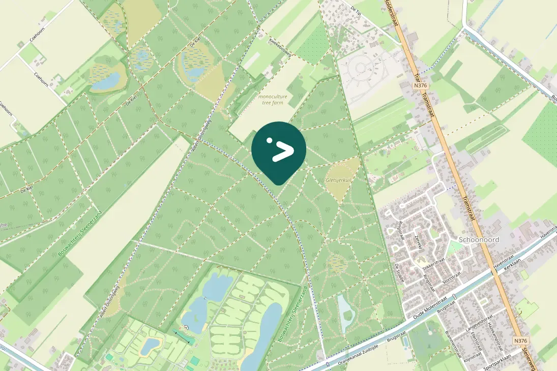 Spotted Short-toed Treecreeper