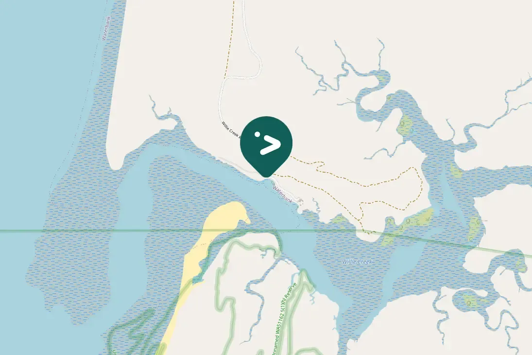 Gespotte Kleine fregatvogel