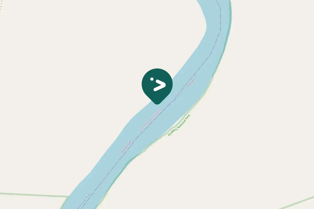 Gespotte Zwarte wouw