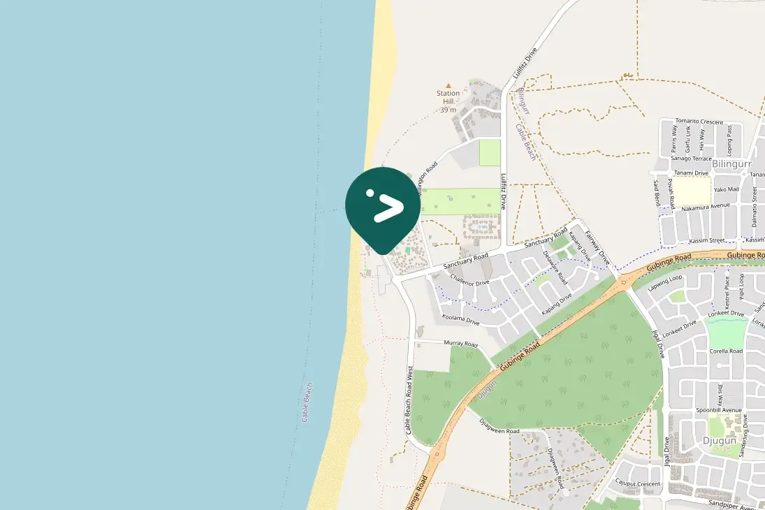 Gespotte Strohalsibis