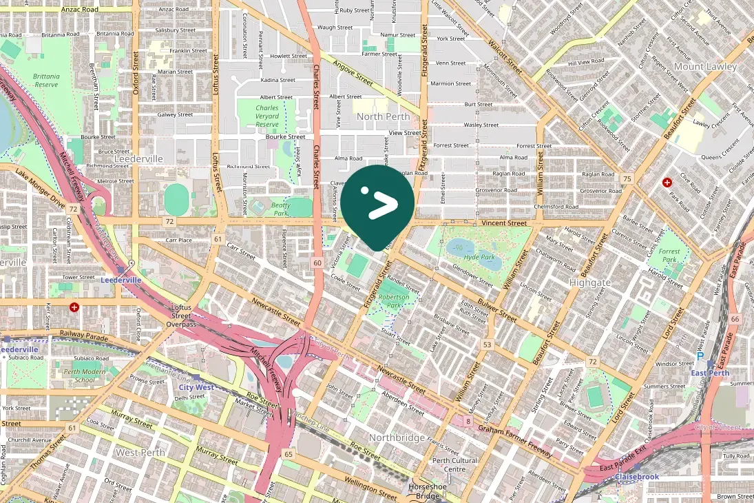 Gespotte Zwartrugfluitvogel