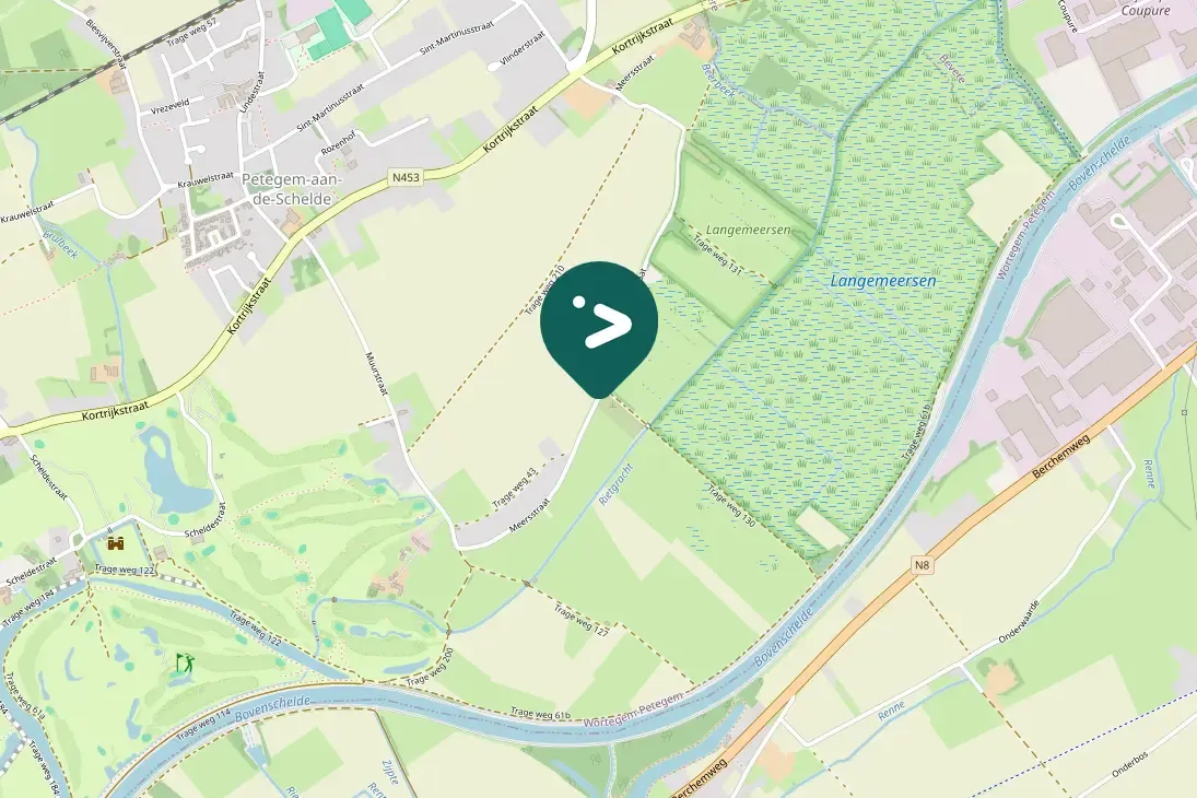 Gespotte Kleine mantelmeeuw