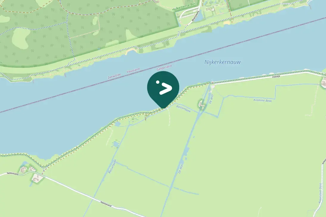 Gespotte Blauwe kiekendief