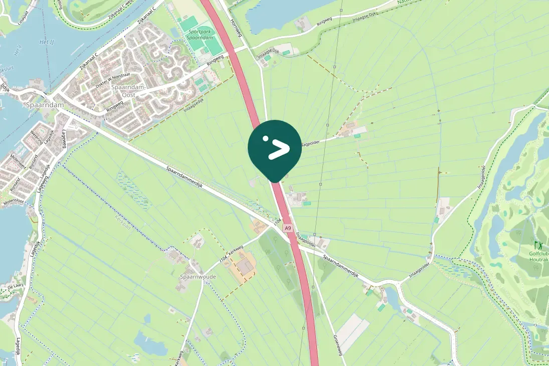 Gespotte Knobbelzwaan