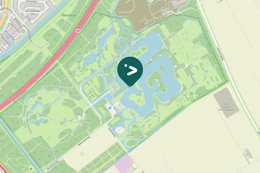 Gespotte Dwergaalscholver