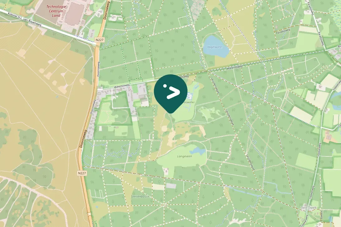 Gespotte Zwarte specht