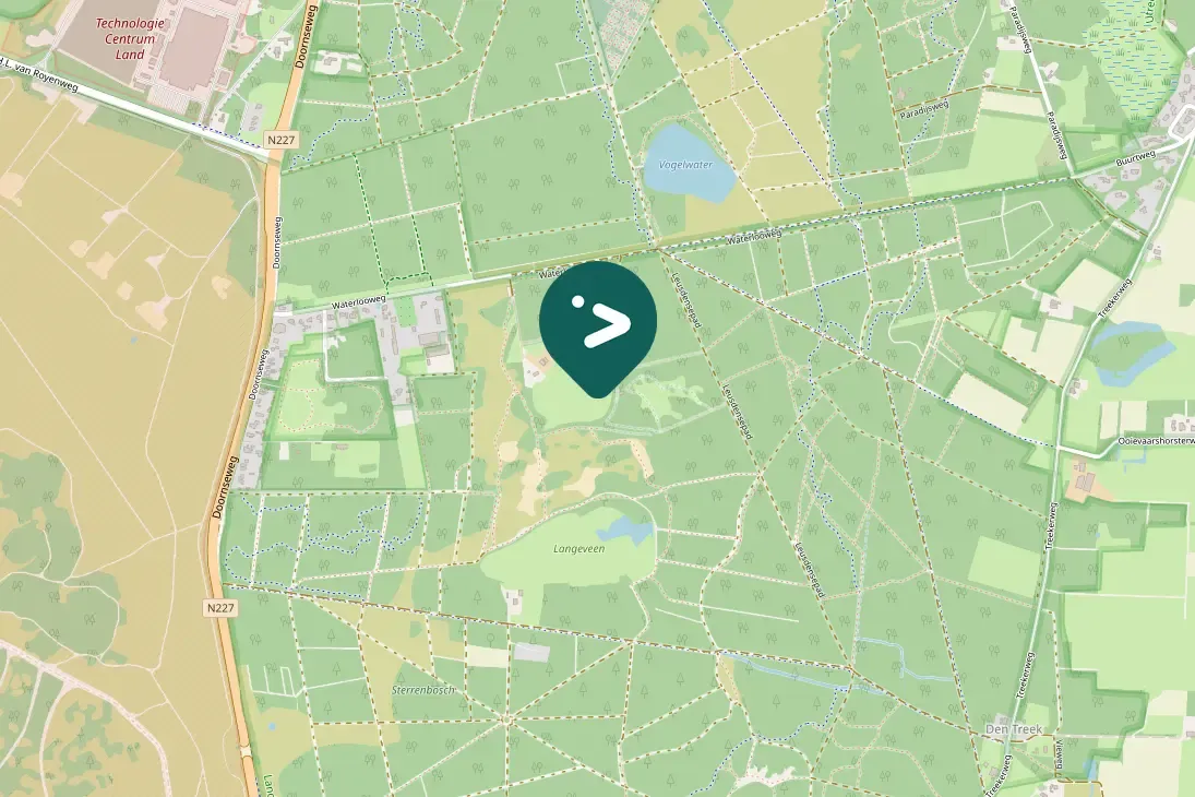 Gespotte Kleine zwaan